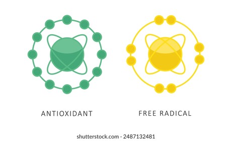 antioxidant free radical flat vector design isolated white background