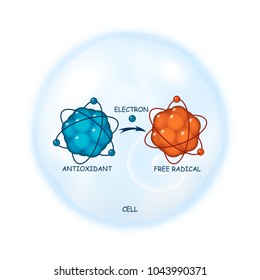 Principio de trabajo antioxidante representación abstracta vectorial, ilustración de un proceso de donación de electrones a una molécula radical libre en una célula como fondo, plantilla de salud