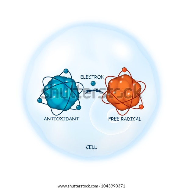 抗酸化作業原理の抽象的なベクター画像表現 背景に細胞上のフリー ラジカル分子への電子供与のプロセスのイラスト ヘルスケアテンプレート のベクター画像素材 ロイヤリティフリー 1043990371
