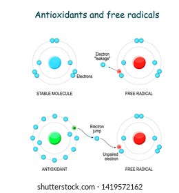 Antioxidants Free Radicals Free Radicals React Stock Vector (Royalty ...