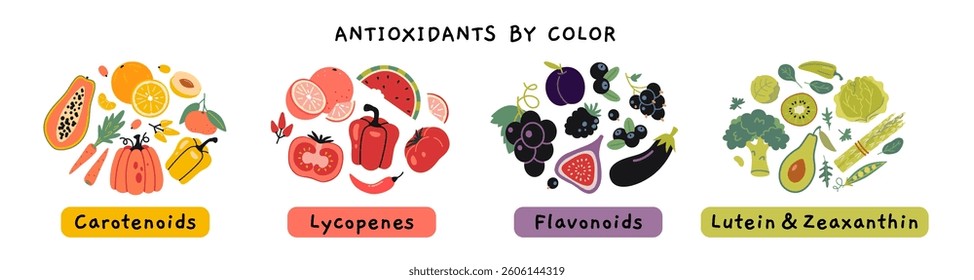 Antioxidants rich foods by their color groups infographics, Carotenoids, lycopenes, flavonoids, lutein and zeaxanthin. Trendy modern vector illustration isolated on white, hand drawn, flat design