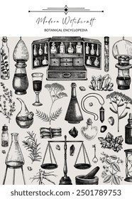 Antique apothecary frame. Hand-drawn vector illustrations. Medicinal herbs sketch. Vinatge chemistry label design. NOT AI generated
