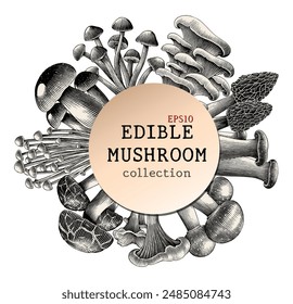 Antique engraving illustration of edible mushroom for background hand draw black and white clip art