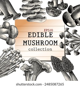 Antique engraving illustration of edible mushroom for background hand draw black and white clip art