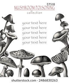 Antique engraving illustration of Mushroom poisoning collection hand draw black and white clip art