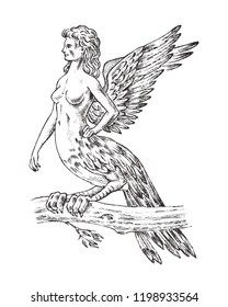 Antique Harpy. Woman Bird Eagle. Mythical Greek monster. Mythological animal. Fantastic creatures in the old vintage style. Engraved hand drawn old sketch.