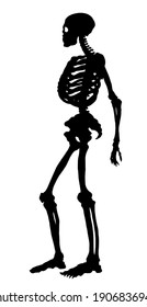Antique health adult male figure vertebral fibula element stand white text space. Outline black drawn old face part organ object logo sign emblem sketch retro ancient art engrave print style side view