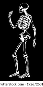 Antique health adult male figure vertebral fibula element stand white text space. Outline black drawn old face part organ object logo sign emblem sketch retro ancient art engrave print style side view