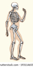 Antique health adult male figure vertebral fibula element stand white text space. Outline black drawn old face part organ object logo sign emblem sketch retro ancient art engrave print style side view