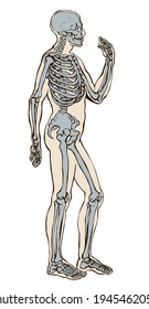 Antique health adult male figure vertebral fibula element stand white text space. Outline black drawn old face part organ object logo sign emblem sketch retro ancient art engrave print style side view