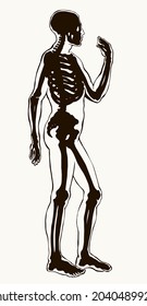 Antique health adult male figure vertebral fibula element stand white text space. Outline black drawn old face part organ object logo sign emblem sketch retro ancient art engrave print style side view