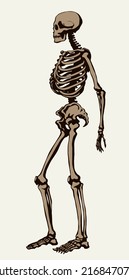 Antique health adult male figure vertebral fibula element stand white text space. Outline black drawn old face part organ object logo sign emblem sketch retro ancient art engrave print style side view