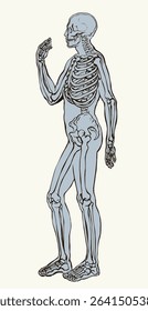 Antique health adult male figure vertebral fibula element stand white text space. Outline black drawn old face part organ object logo sign emblem sketch retro ancient art engrave print style side view