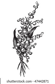 antique lily-of-the-valley engraving, scalable and editable vector illustration