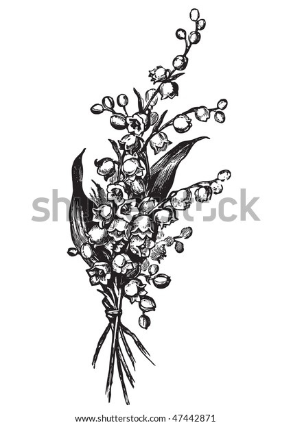 antique lily-of-the-valley engraving,\
scalable and editable vector\
illustration
