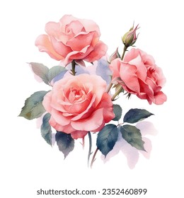 Antique Roses Watercolor illustration. English rose Illustration for greeting cards, printing and other design projects.