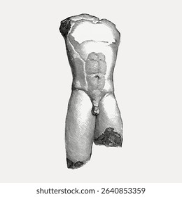 Antique torso, illustration isolated on white, vector.