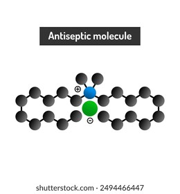 Antiseptic Molecules - Mechanisms, Types, and Applications in Infection Control