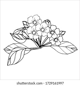 Anti-stress coloring book black and white vector drawing of flowers and leaves. Illustration of a cherry blossom. Suitable for clipart, postcards, stickers, children's coloring books.