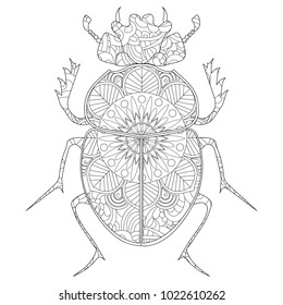 Anti-stress coloring book vector illustration. Egyptian Scarab beetle.