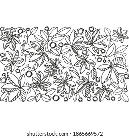 antistress coloring with leaves and chestnuts with black outline on white background