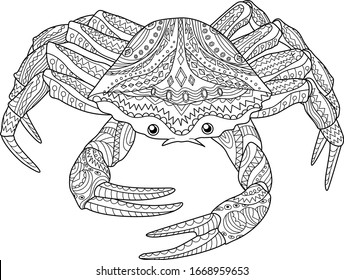 Antistress coloring page for adults with sea crab. Black white hand drawn vector doodle of oceanic animal for coloring.