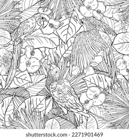 Antistress coloring page. Macaw and Cockatoo parrots in nature, fly, sit, play. Natural background of orchid flowers, palm and banana leaves. For tattoo, coloring, print, cards, clothes, children game