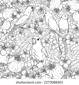 Antistress coloring page. Parrotlet and Parakeet parrots in nature, sit, play. Natural background of flowers, fruits, berries, leaves, pomegranate. For tattoo, coloring, print, clothes, children game