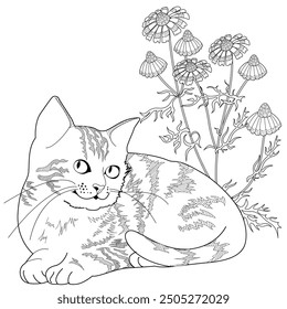 Antistress drawing for coloring. Basket of flowers and  cat. Coloring Book for adults and children. Cute  background for wallpaper, gift paper, pattern fills, textile, greetings cards 
