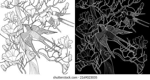 Antistress drawing for coloring. Blooming magnolia tree and swallows. Romantic concept.

