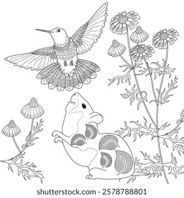 Antistress drawing for coloring. Colouring pictures with Hamster and Flowers.  Ideal for those who want to feel more connected to nature.
