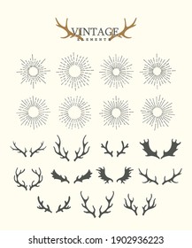 Antlers. Design elements of deer and collection of sunbeams. Set of hand drawn deer horns on the white background. Vintage isolated icons