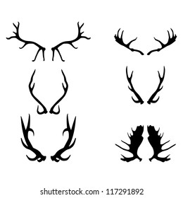 antlers, vector illustration