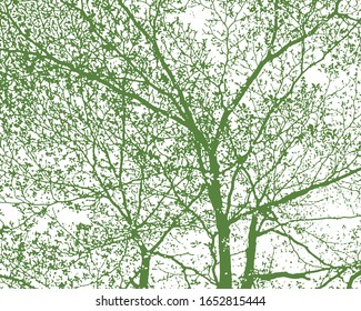 Antlers and vectorized tree branches. Weft of organic shapes.
