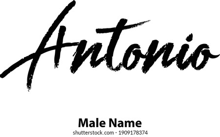 Antonio Male Name Handwritten Brush Lettering Calligraphy Text 