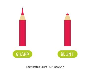 Antonyms concept  SHARP   BLUNT  Educational flash card and sharpened   blunted pencils template  Word card for english language learning and opposites  Flat vector illustration and typography