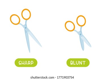 Antonyms concept, SHARP and BLUNT. Educational flash card with sharpened and blunt scissors template. Word card for english language learning with opposites. Flat vector illustration with typography