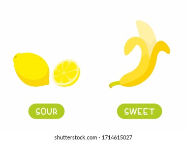 Antonyms concept, SOUR and SWEET. Educational flash card with fruits of different tastes template. Banana and lemon. Word card for english language learning with opposites. Flat vector illustration 