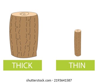 Antonyms concept, THICK and THIN. Educational flash card with trees of different thicknesses template. Word card for English language learning with opposites. Flat vector illustration with typography