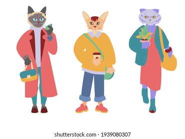 Antropomorphic cats girl dressed up casual street wear Set of cute characters Flat vector illustration