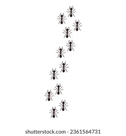 Hormigas, columna de hormigas. Siluetas de insectos negros. Ilustración vectorial para fondos y embalaje. La imagen se puede usar para tarjetas de felicitación, carteles, pegatinas y textiles. Aislado sobre fondo blanco.