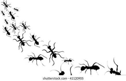 ants black silhouette isolated on white
