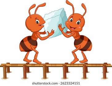 Ants borrow sugar in the kitchen