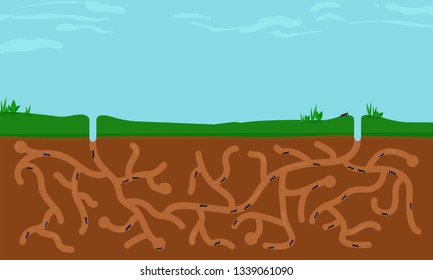 Ants busy in ant hill tunnels beneath a large blue sky. Long landscape. Flat design vector illustration.