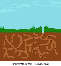 Ants busy in ant hill tunnels beneath a large blue sky. Square landscape. Flat design vector illustration.