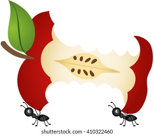 Ants carrying apple core
