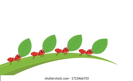 Ants carrying green leaves. Ant vector. Ant on white background. free space for text. copy space.