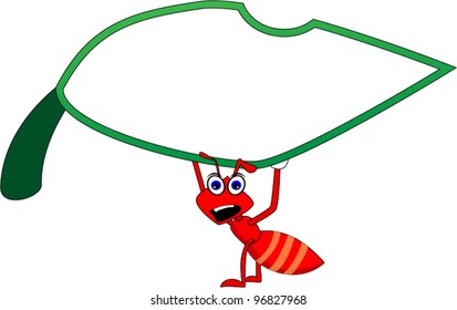 Ants carrying leaves