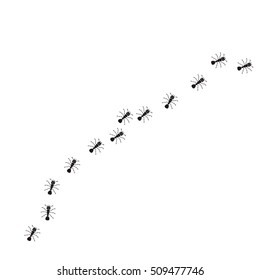 Ants column background on white.