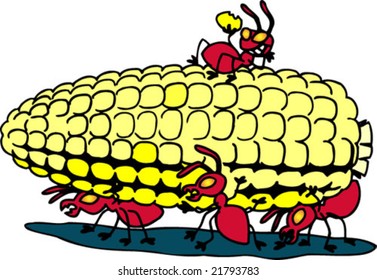 Ants and Corn